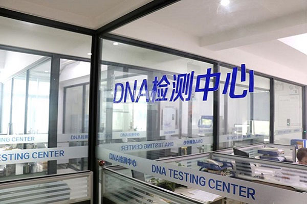 ľ˹DNA